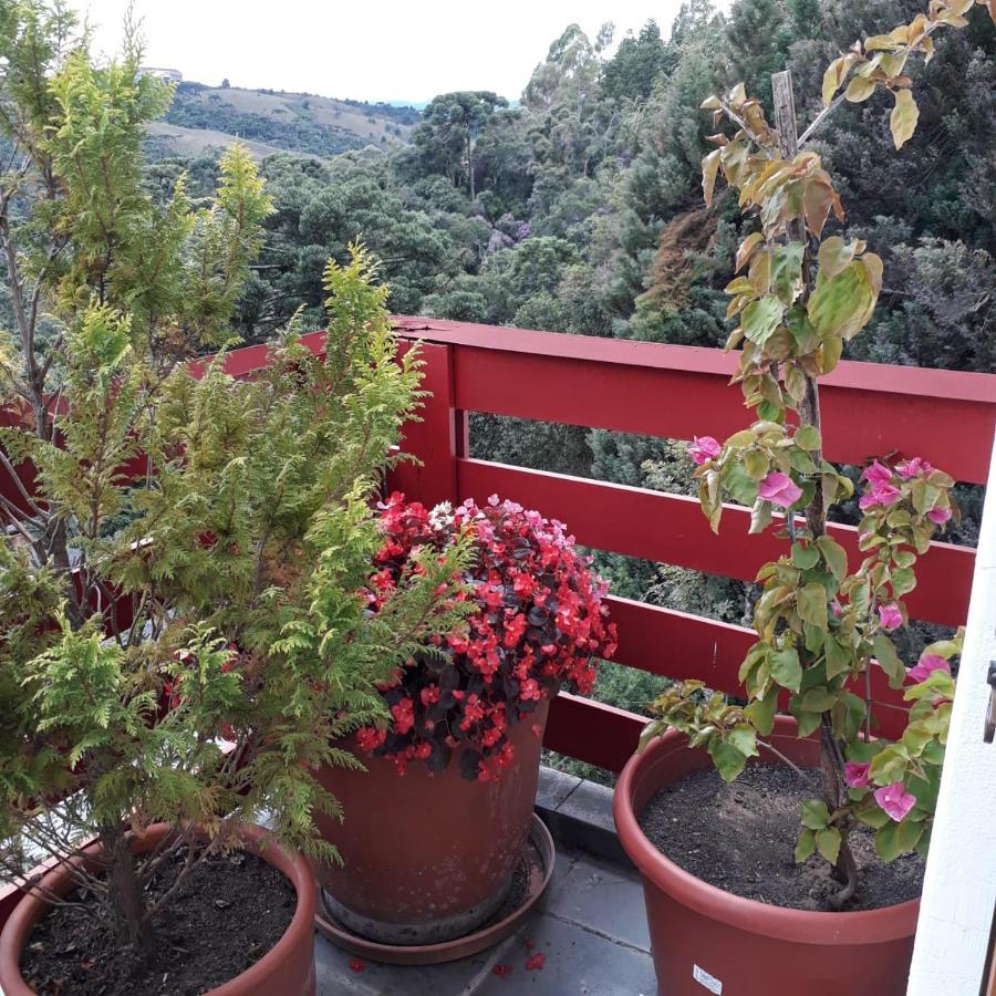 Cobertura Luxuosa De 250 M2 A 3Kms Do Centrinho Vista Espetacular Διαμέρισμα Campos do Jordão Εξωτερικό φωτογραφία